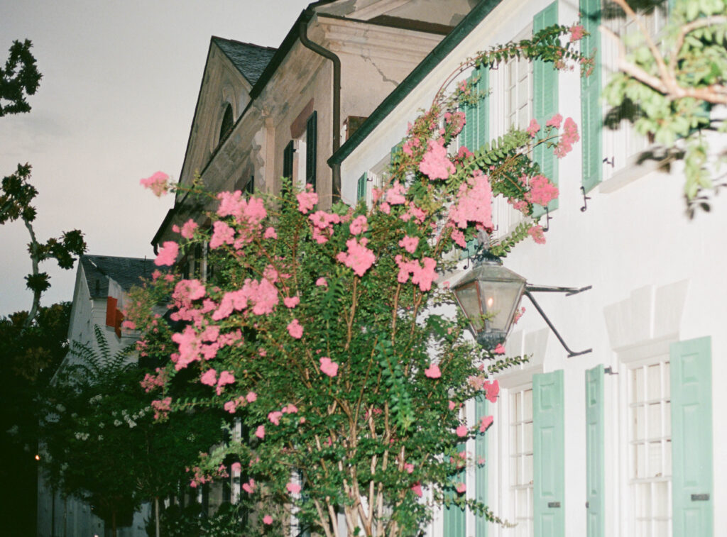 Charleston, South Carolina on 35mm film. Discover luxury destination wedding photography on film.