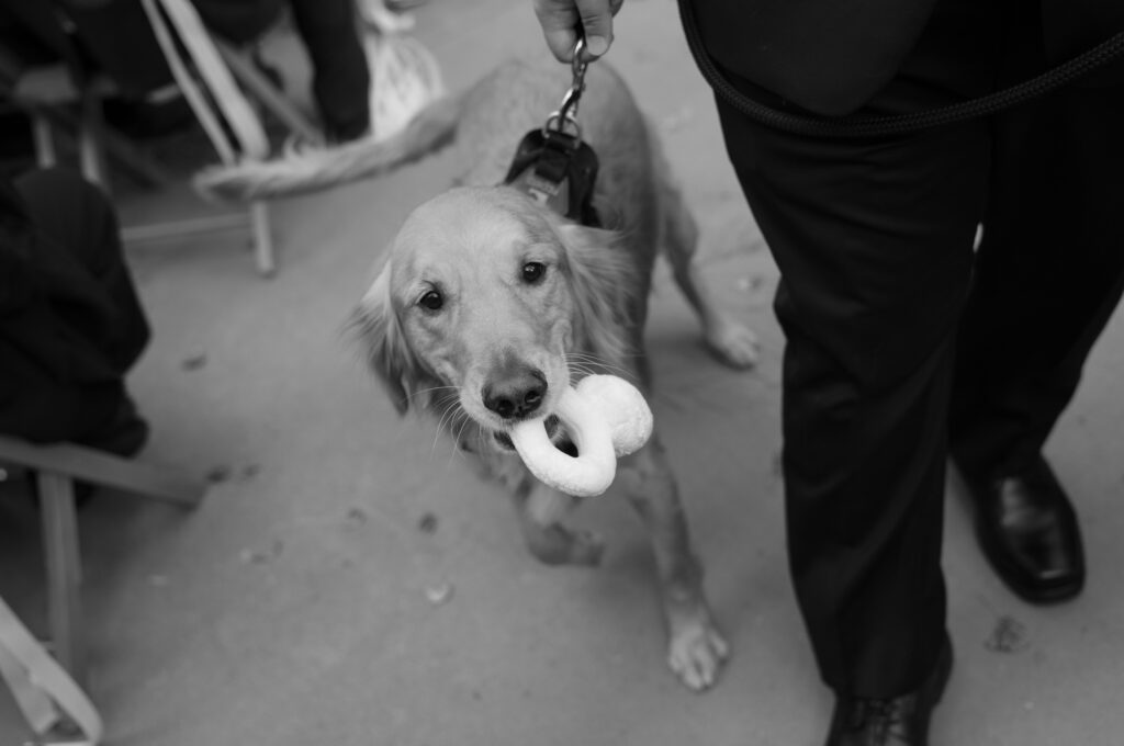 A modern fall wedding in Vail. Discover luxury editorial and documentary wedding photography in Colorado and beyond. 