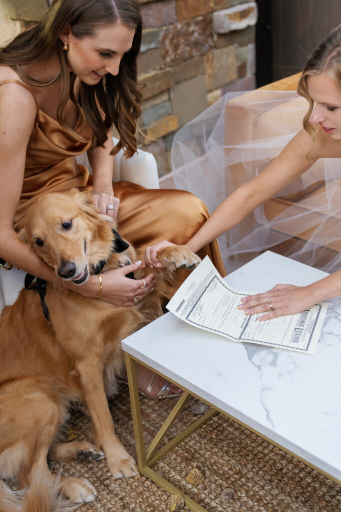 A modern fall wedding in Vail. Discover luxury editorial and documentary wedding photography in Colorado and beyond. 